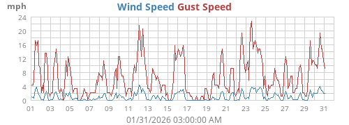 Wind Speed